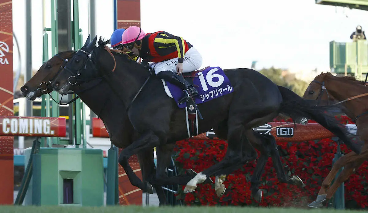 Arima Kinen