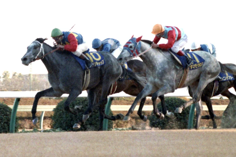 1988 Arima Kinen
