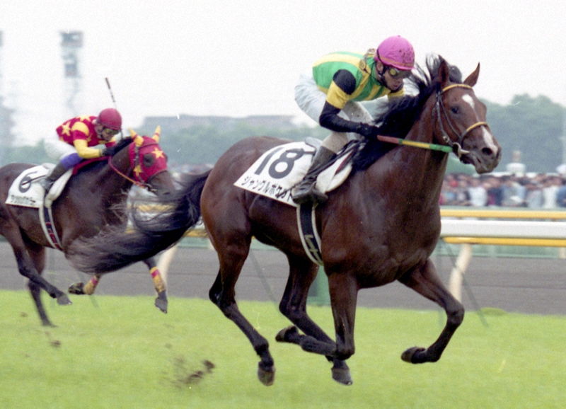 Tokyo Yushun