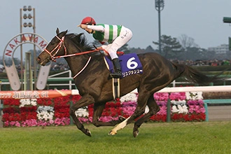 Arima Kinen