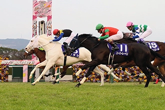 Hanshin Juvenile Fillies