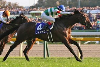 Tenno Sho Autumn