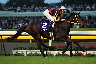 Tenno Sho Autumn