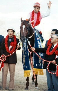 Tenno Sho Spring