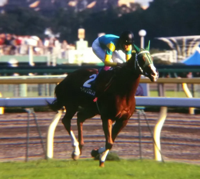 Tenno Sho Autumn