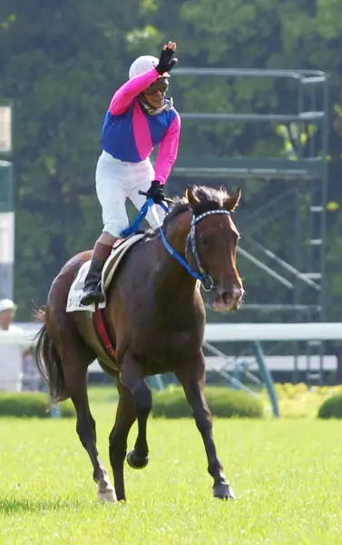 Japan Derby