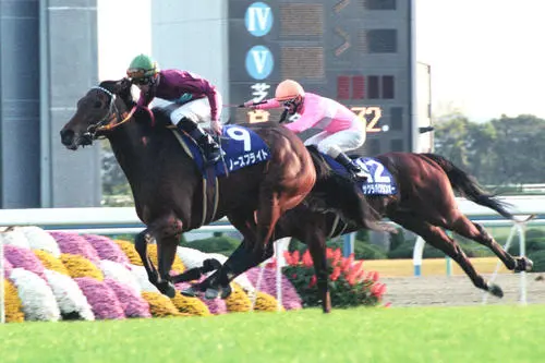 1994 Mile Championship