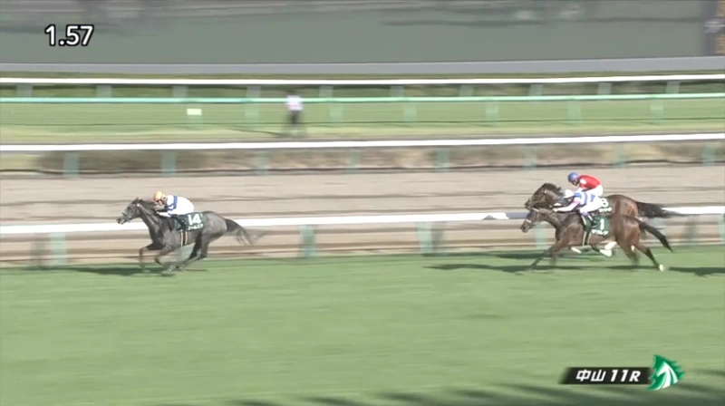 Shion Stakes