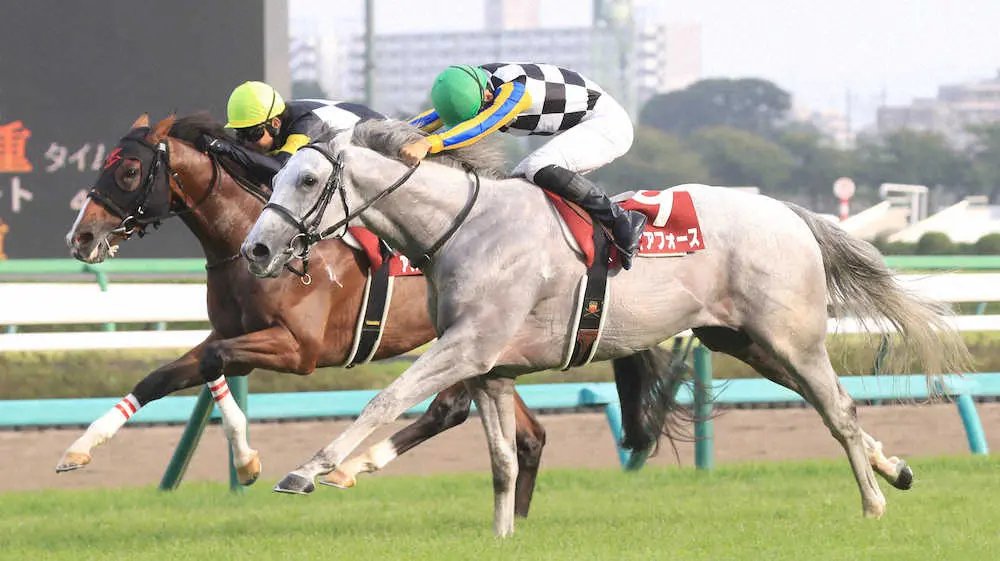 Saint Lite Kinen