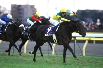 Japan Cup