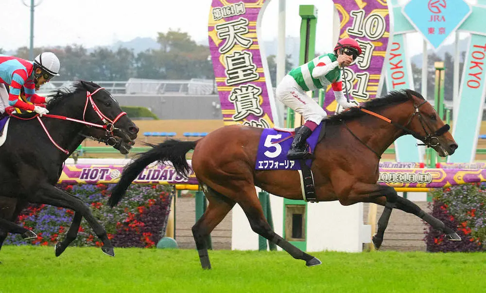 Tenno Sho Autumn