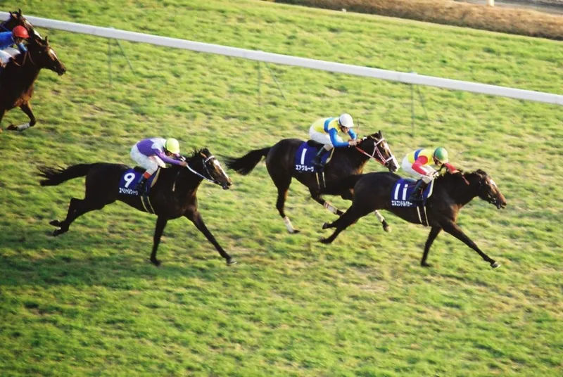 Japan Cup