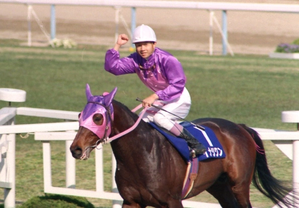 Tenno Sho Spring