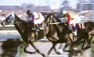 Arima Kinen 1979