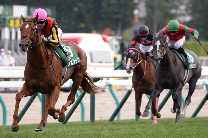 Sapporo Nisai Stakes