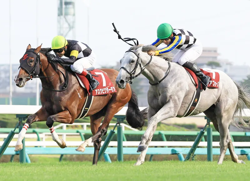 St Lite Kinen