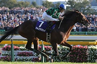 Tenno Sho Autumn