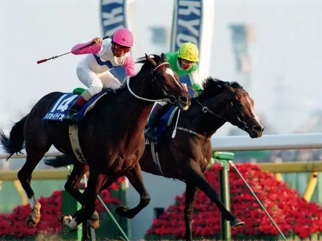 Japan Cup