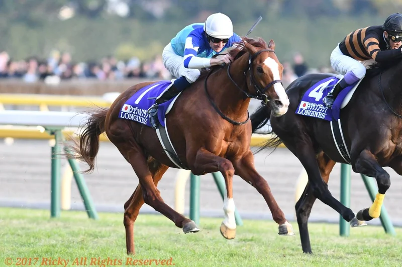Japan Cup