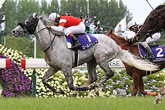 Tenno Sho Spring