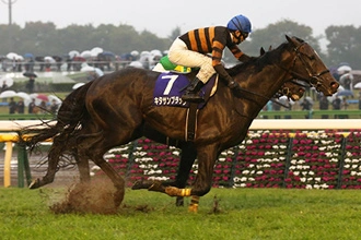 Tenno Sho Autumn