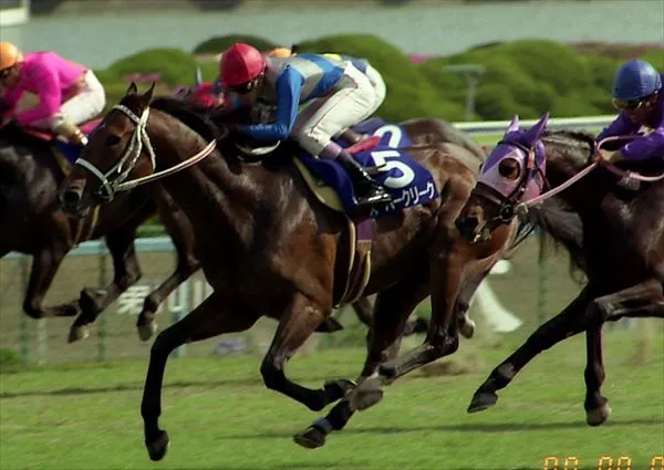 Tenno Sho Spring