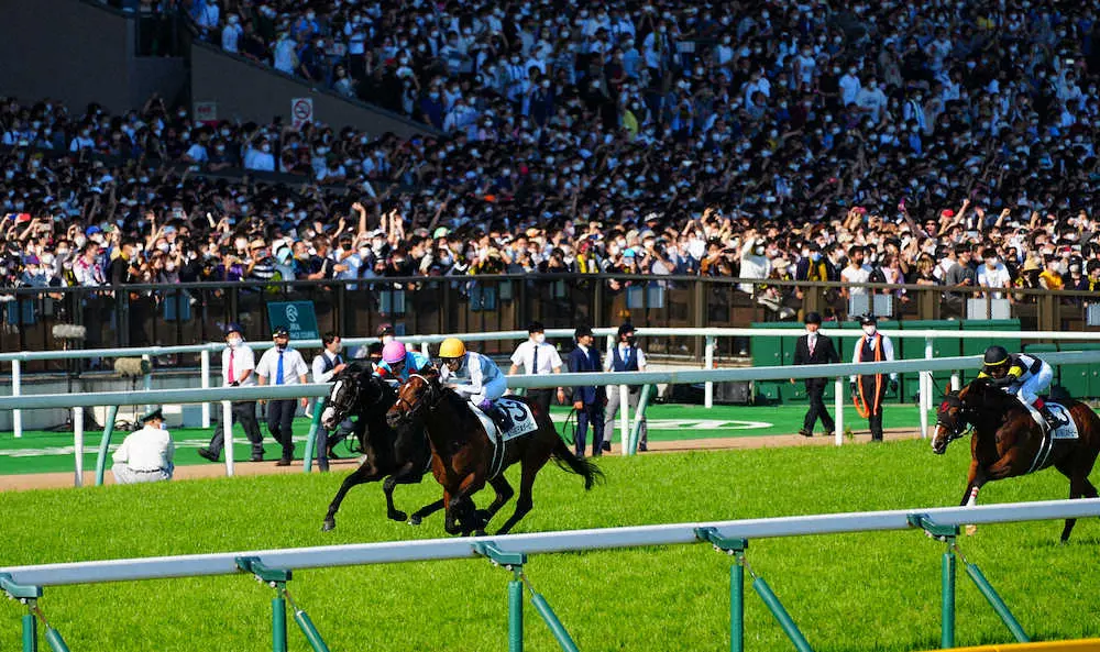 Tokyo Yushun