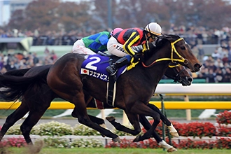 Japan Cup