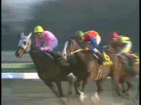 Asahihai 3-Year-Old Stakes