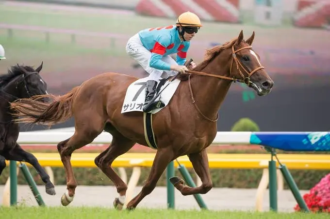 Hong Kong Mile