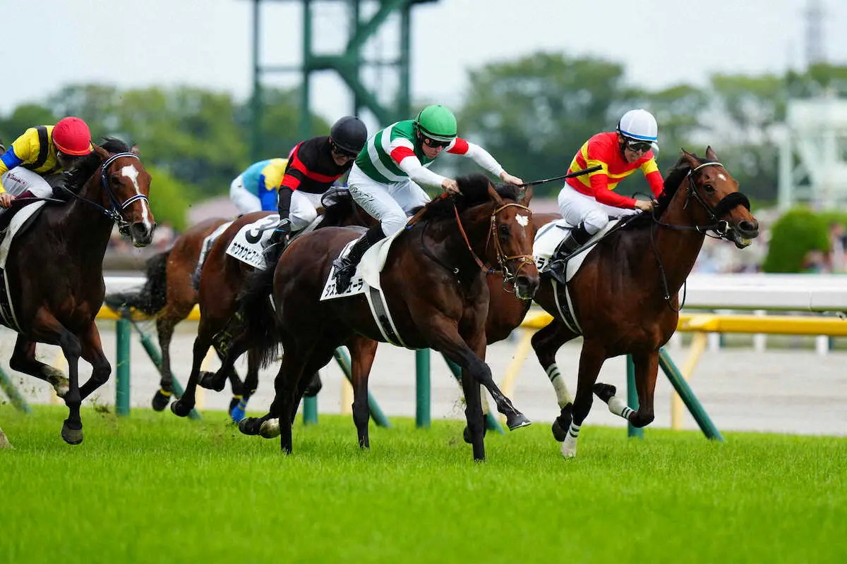 Tokyo Yushun