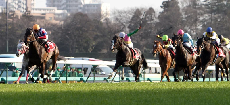 Nakayama Kinen
