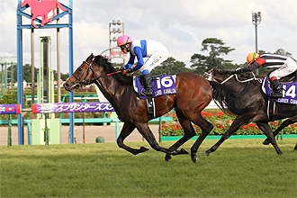 Sprinters Stakes 2012