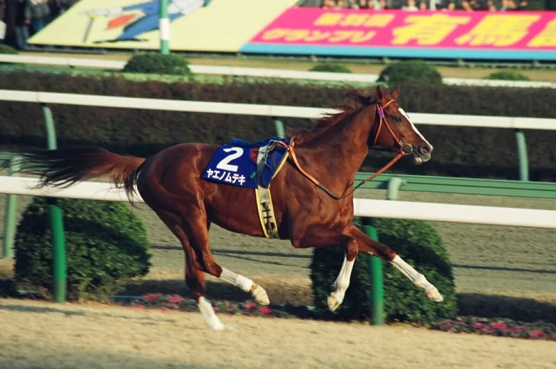 Yasuda Kinen