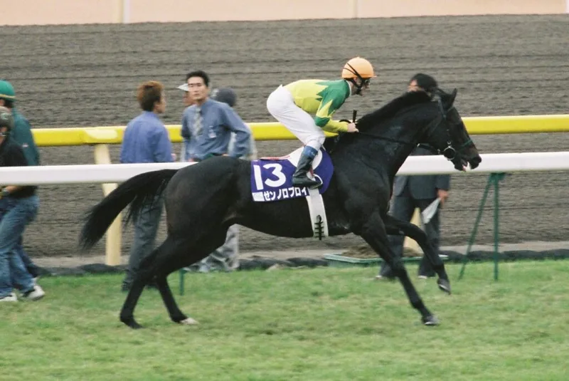 Tenno Sho Autumn