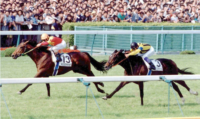 Japan Derby