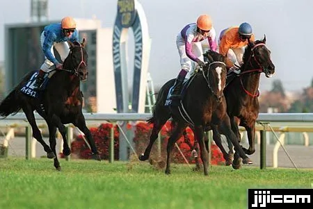 Japan Cup