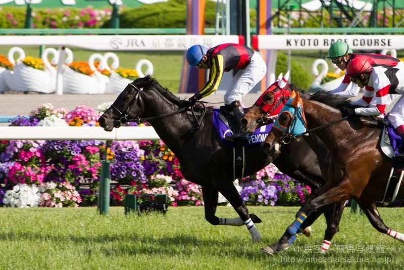 Tenno Sho Spring 2014