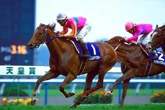 Tenno Sho Spring