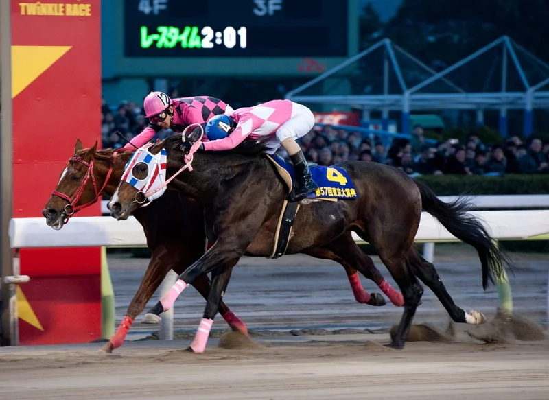 Tokyo Daishoten 2011