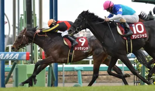 Nakayama Kinen